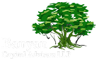 Banyan Capital Advisors